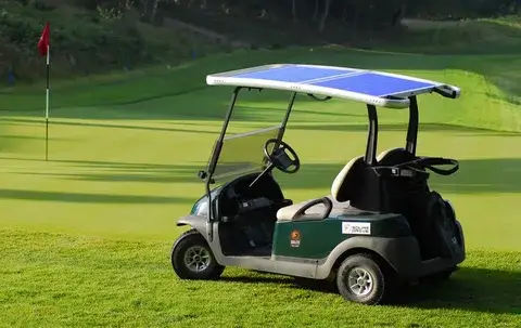 2 Seater Golfcart