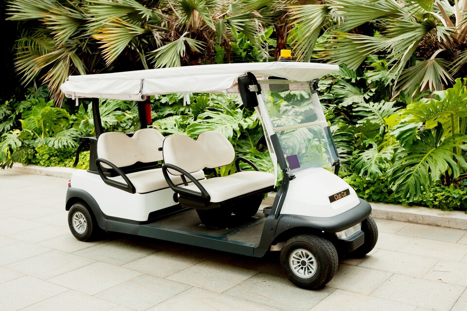 4 seater golf cart