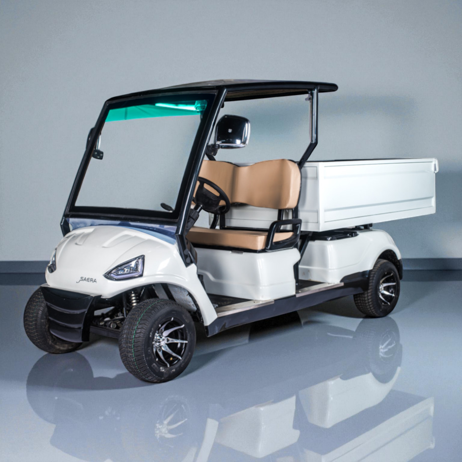 2 SEATER SAERA ELECTRIC UTILITY GOLF CART U-100